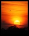/album/sunsets/too-close-jpg/